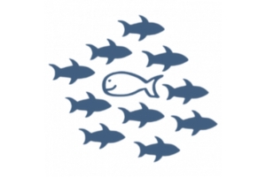 Neurominds - Neurodivergentes Recruiting Neurominds - Neurodivergentes Recruiting