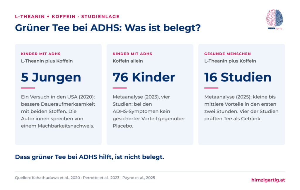 Übersicht zur Studienlage bei L-Theanin und Koffein: ein Versuch mit fünf Jungen mit ADHS, eine Metaanalyse zu Koffein bei 76 Kindern und eine Metaanalyse mit 16 Studien an gesunden Menschen.