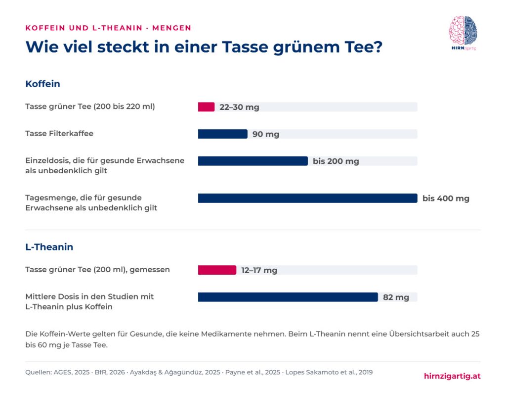 Balkengrafik: Eine Tasse grüner Tee enthält 22 bis 30 mg Koffein und 12 bis 17 mg L-Theanin, verglichen mit Filterkaffee, den Koffein-Richtwerten für gesunde Erwachsene und der mittleren Dosis in Studien.