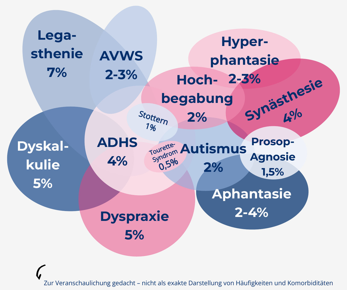 Überblick über Formen von Neurodivergenz mit Häufigkeiten: Legasthenie, AVWS, Hyperphantasie, Hochbegabung, Synästhesie, Dyskalkulie, ADHS, Stottern, Tourette-Syndrom, Autismus, Prosopagnosie, Aphantasie und Dyspraxie